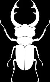 ArmyBug