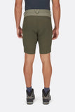 Torque Mountain Shorts Light