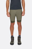 Torque Mountain Shorts Light